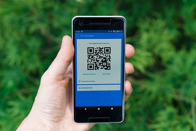 Uma mão está segurando um smartphone que exibe um código QR diante de uma árvore.
