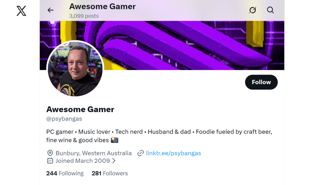 Captura de pantalla de la página de Twitter de Awesome Gamer en la que se muestra su biografía.