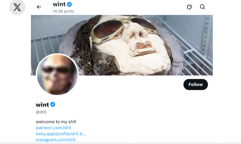 Capture d'écran de la page Twitter de wint montrant sa biographie.